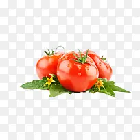 蔬菜西红柿-空若网 蔬菜西红柿-空若网
