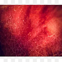 ��ɫ��Ч����-������