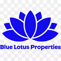 莲藕象征埃及莲花-空若网 莲藕象征埃及莲花-空若网