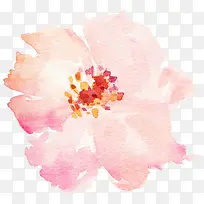 ˮ�ʻ�����ɫ-������