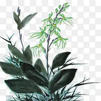 ÖйúË®²Ê»-¿ÕÈôÍø ÖйúË®²Ê»-¿ÕÈôÍø