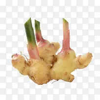 黄色新鲜生姜蔬菜清晰-空若网 黄色新鲜生姜蔬菜清晰-空若网