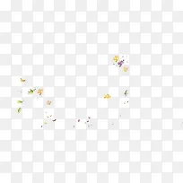 ��ɫƯ�����ʻ���-������