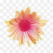 粉色可爱亮光花朵-空若网 粉色可爱亮光花朵-空若网