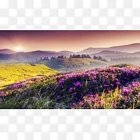 缤纷多彩花朵高清壁纸-空若网 缤纷多彩花朵高清壁纸-空若网