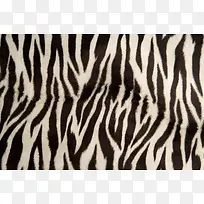 豹纹面料背景-空若网 豹纹面料背景-空若网