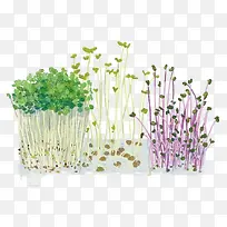 卡通豆芽蔬菜-空若网 卡通豆芽蔬菜-空若网