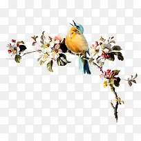 树枝-空若网 树枝-空若网