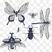 各类昆虫图标-空若网 各类昆虫图标-空若网