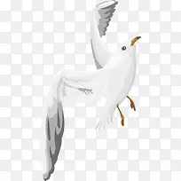 白色和平鸽黑色眼睛翅膀矢量-空若网 白色和平鸽黑色眼睛翅膀矢量-空若网