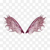 翅膀-空若网 翅膀-空若网