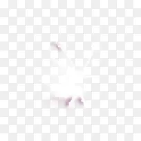 小花仙-空若网 小花仙-空若网