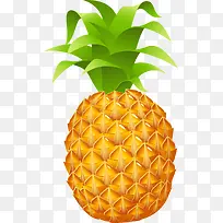 新鲜菠萝水果矢量图-空若网 新鲜菠萝水果矢量图-空若网