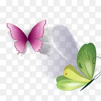 蝴蝶-空若网 蝴蝶-空若网