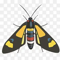 ����-������