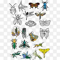 ��������ϼ�-������