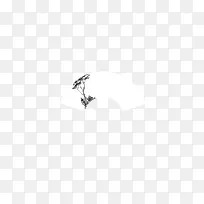 悬崖上的树-空若网 悬崖上的树-空若网