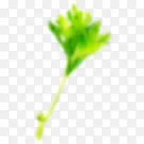 模糊树枝-空若网 模糊树枝-空若网