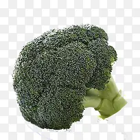 Î÷À¼»¨Êß²Ë-¿ÕÈôÍø Î÷À¼»¨Êß²Ë-¿ÕÈôÍø