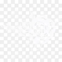 牡丹花白色牡丹花剪影-空若网 牡丹花白色牡丹花剪影-空若网