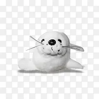 可爱海狮-空若网 可爱海狮-空若网