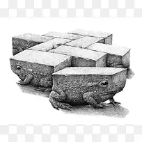 ���軭�廭����-������