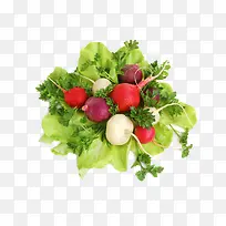 绿色蔬菜-空若网 绿色蔬菜-空若网