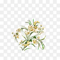 手绘水仙花-空若网 手绘水仙花-空若网