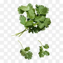 美味香菜-空若网 美味香菜-空若网