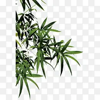 ����ϳ���Ӱɭ������-������