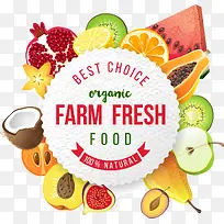 ˮ�����ѫ��ʸ���ز�-������