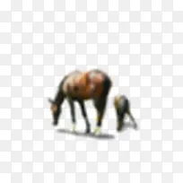 吃草的马-空若网 吃草的马-空若网