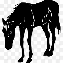 ÇïÌì¼¾½ÚÂíÆ¥µÍÍ·³Ô²Ý-¿ÕÈôÍø ÇïÌì¼¾½ÚÂíÆ¥µÍÍ·³Ô²Ý-¿ÕÈôÍø