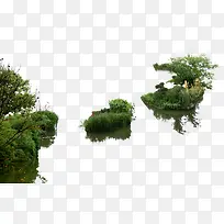 高清环境摄影绿色草丛森林-空若网 高清环境摄影绿色草丛森林-空若网