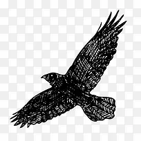 矢量乌鸦-空若网 矢量乌鸦-空若网