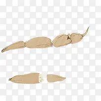 莲藕手绘画素材图片-空若网 莲藕手绘画素材图片-空若网