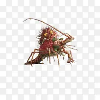 创意海鲜大咖-空若网 创意海鲜大咖-空若网