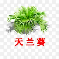 ������-������