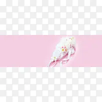 ��ɫ������������������-������