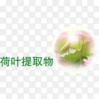 ��Ȼ����������ȡ-������