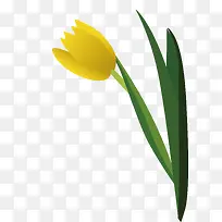 Óô½ðÏãËØ²ÄʸÁ¿-¿ÕÈôÍø Óô½ðÏãËØ²ÄʸÁ¿-¿ÕÈôÍø