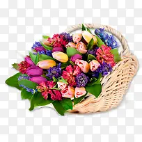 多彩花篮-空若网 多彩花篮-空若网