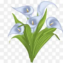 ��ɫ������-������