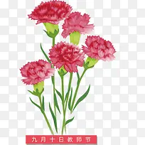 手绘康乃馨花束-空若网 手绘康乃馨花束-空若网