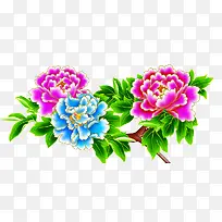 彩色花-空若网 彩色花-空若网