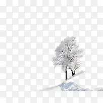 冬天的里的两颗树-空若网 冬天的里的两颗树-空若网