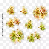 花束网浏览器-空若网 花束网浏览器-空若网