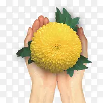 手捧花-空若网 手捧花-空若网