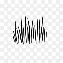 �滭ֲ�� С�� ���� �ڰ�-������