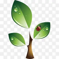 绿色三叶禾苗-空若网 绿色三叶禾苗-空若网